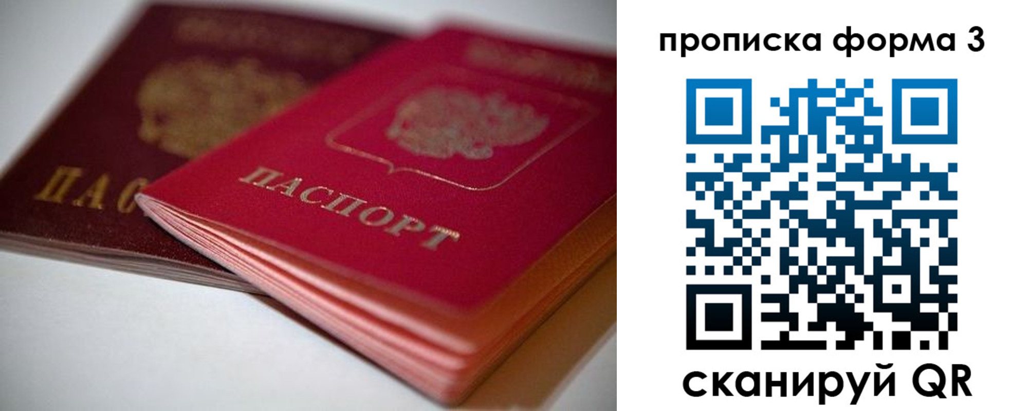 временная регистрация надежно в Муроме